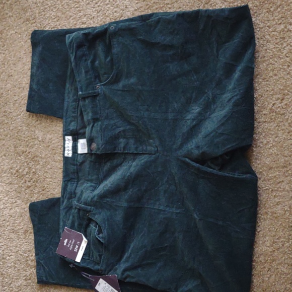 Dark Green Corduroy Stretch Pants Sz 22 NWT - Picture 2 of 5